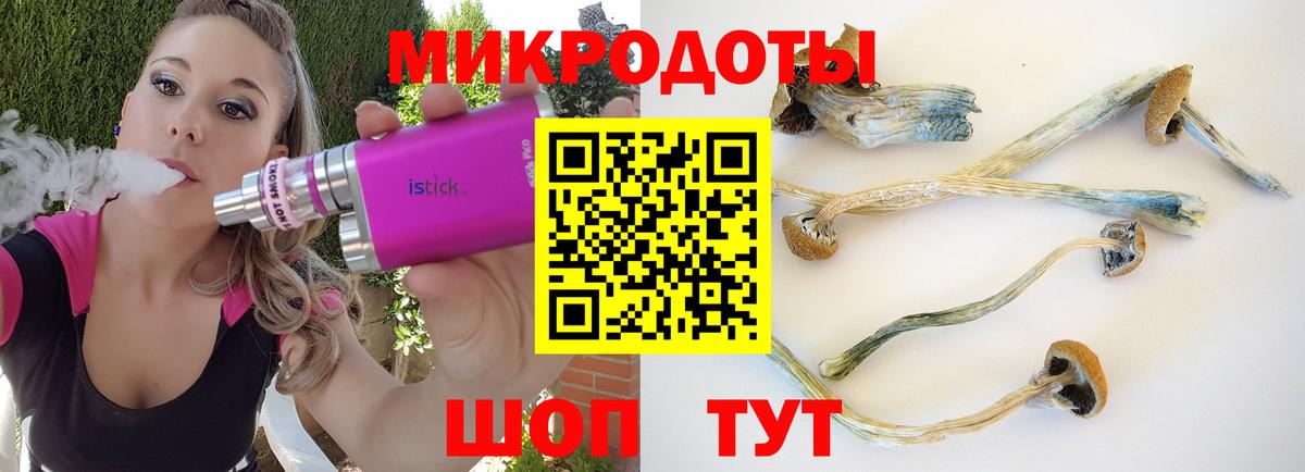 Железногорск  Псилоцибиновые грибы Psilocybe  Вход с VPN 
