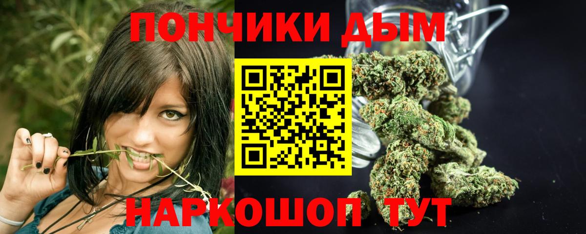 Конопля план  Бошки Шишки Bruce Banner  Вход с VPN  Железногорск  Шишки марихуана сатива 