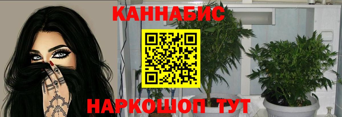 Канабис план  Бошки марихуана SATIVA & INDICA  Бошки марихуана план  Бошки Шишки марихуана  Железногорск 